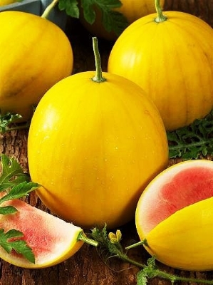 Picture of Melon king watermelon bonsai red meat garden balcony potted vegetables - 10 pcs seeds