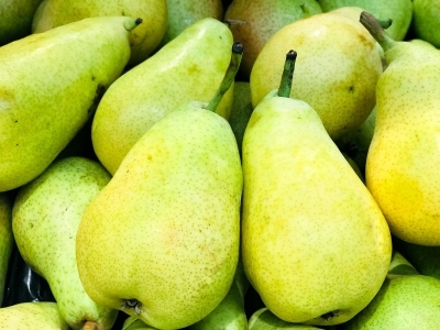 Picture of Pear Tree Seeds -15 pcs (Imported Global SeedS)