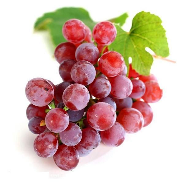 Picture of 10+Pcs Red Pearl Raisin Fruit seeds Bonsai Orchard Sweet Grape seeds Farm Outdoor Bonsai Plants Potted for Home Garden Supplies-10Pcs seedS