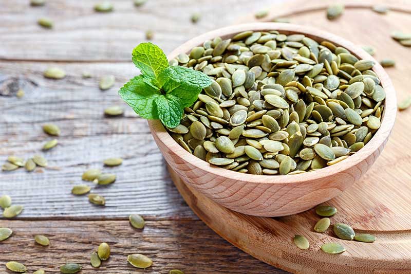 Picture of 10 Pcs Organic Hybrid Sweet Pumpkin SeedS