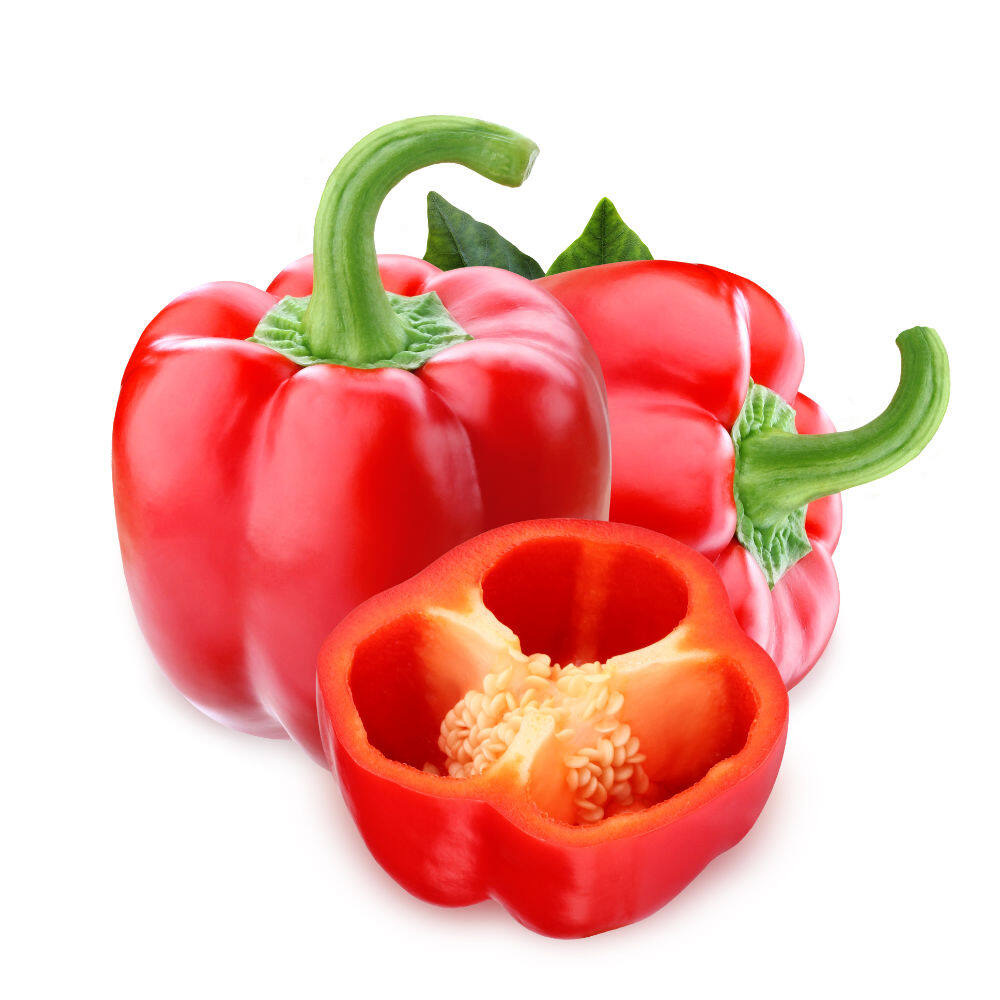 Picture of 10+ Pcs All Season Red Capsicum SeedS