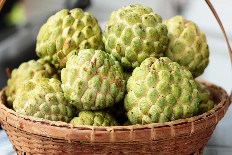 Picture of All Season Suger Free Sharifa Seeds  - 10 Pcs SeedS