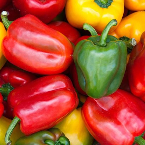 Picture of 10 pieces Capsicum SeedS(Intact packet)