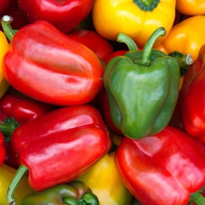 Picture of 10 pieces Capsicum SeedS(Intact packet)