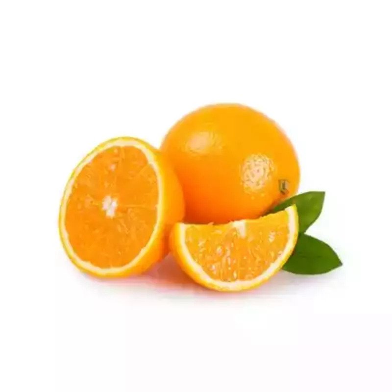 Picture of Malta Fruit Tree Seeds- 10 Pcs SeedS
