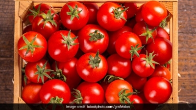 Picture of Japanese Tomato Biz 25 Piece SEEDS Home Tuber