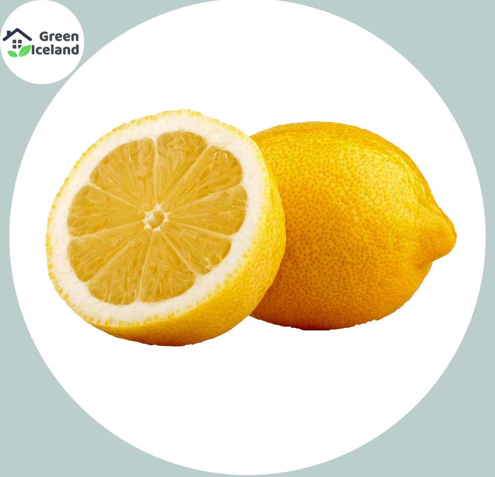 Picture of Global Dwarf Lemon Tree Seeds - 10 Pcs SeedS