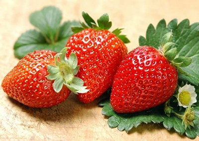Picture of Gaint strawberry SeedS - 30 Pcs SeedS
