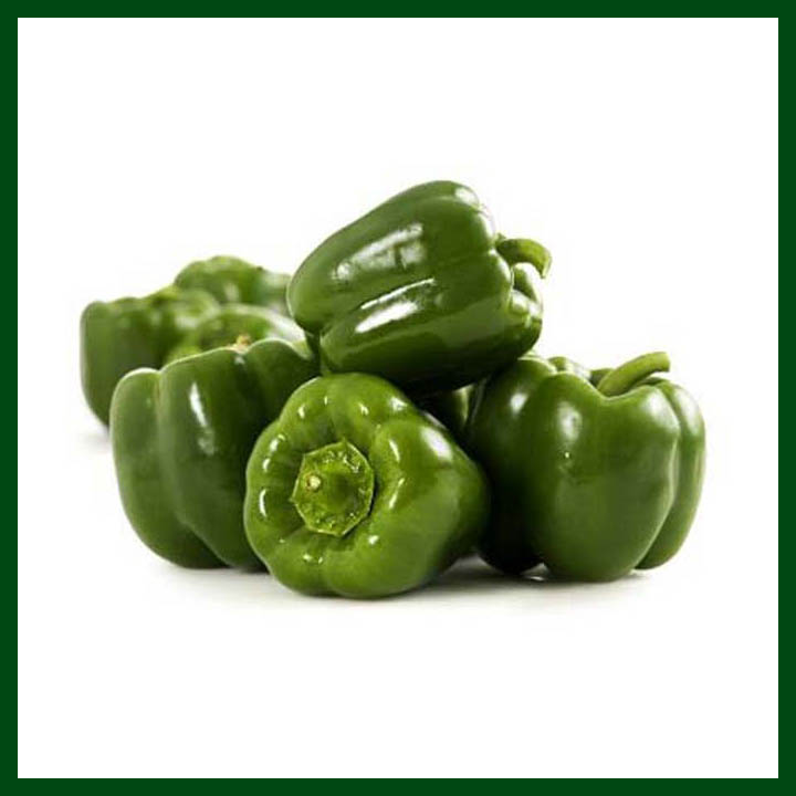 Picture of 10 PcS All Season Green Capsicum SeedS