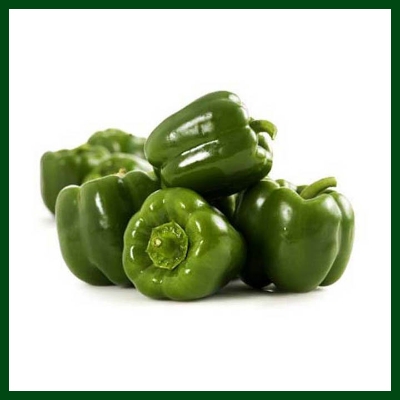 Picture of 10 PcS All Season Green Capsicum SeedS