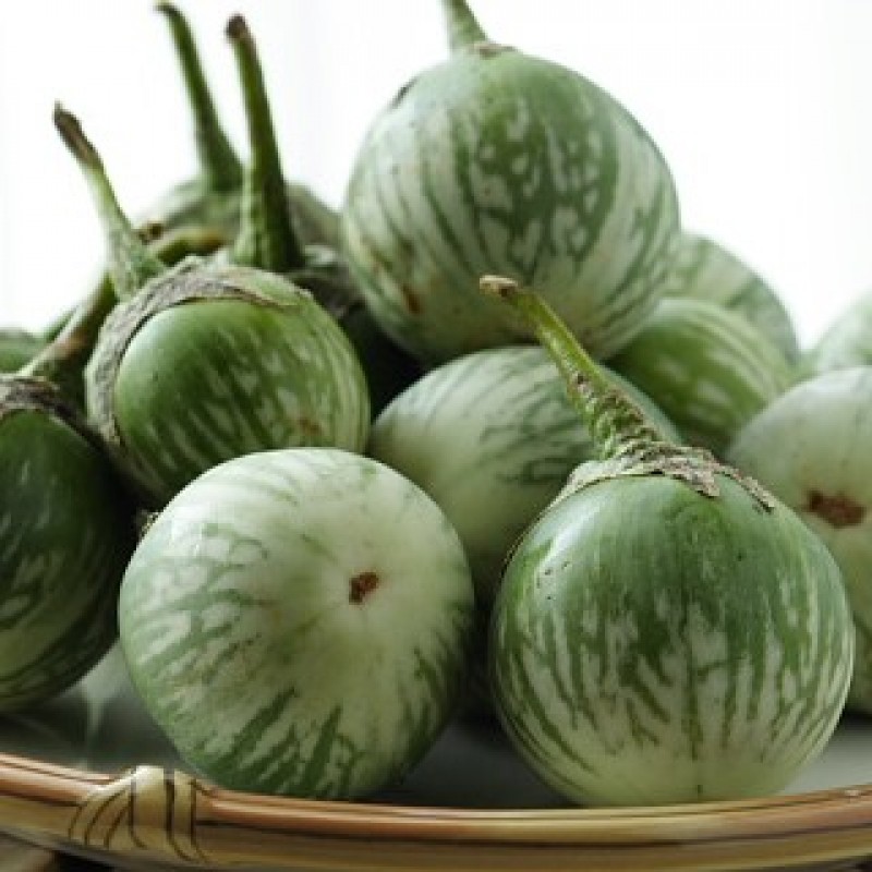 Picture of 20 PcS Global Brinjal SeedS