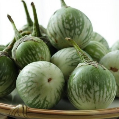 Picture of 20 PcS Global Brinjal SeedS