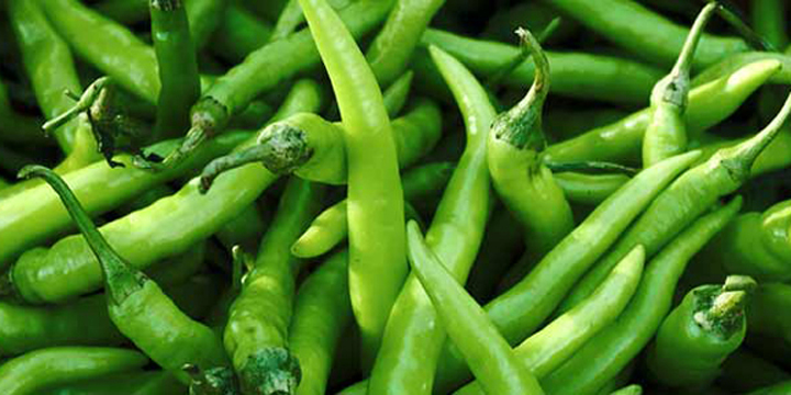 Picture of 35 Pcs Spicy Green Chili SeedS  (INTACT PACKET)