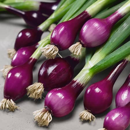 Picture of Red OnionSeeds - 100 pcs SEEDS