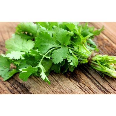 Picture of Global Dhoniya Pata Seeds - 50 Pcs SeedS