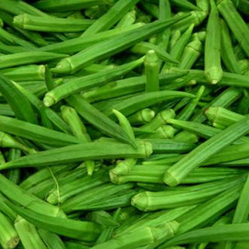 Picture of Natural Ladies Finger/Orka Seeds  - 10 Pcs SeedS