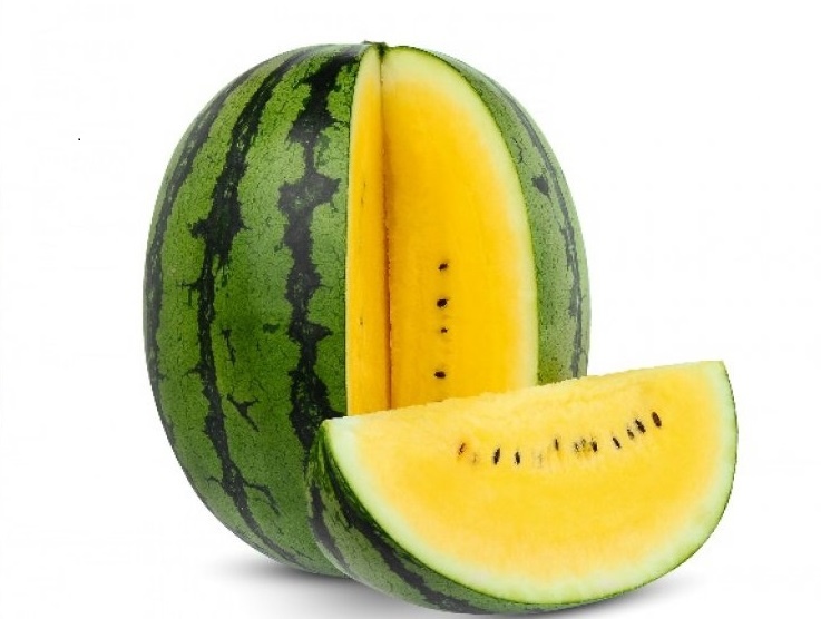 Picture of 10 PcS Small Yellow watermelon Bonsai SeedS