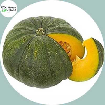 Picture of All Season Sweet Pumpkin SeedS  - 10 Pcs SeedS