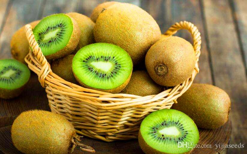 Picture of Organic Thailand Mini Kiwi Fruit Bonsai Seeds - 25 Pcs SeedS