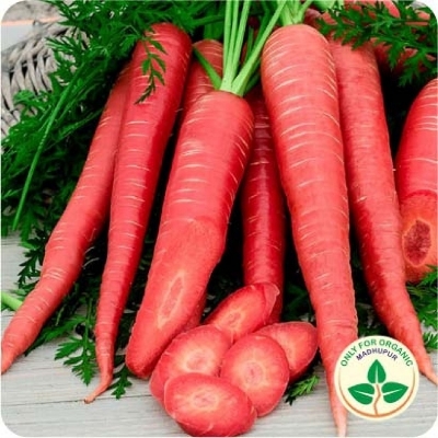 Picture of All Season Red Carrot Seeds  - 50 Pcs SeedS