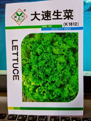 Picture of Lettuce Seeds 200 Grains All Seasons, fast-growing Intake Packet (China Global Seeds)