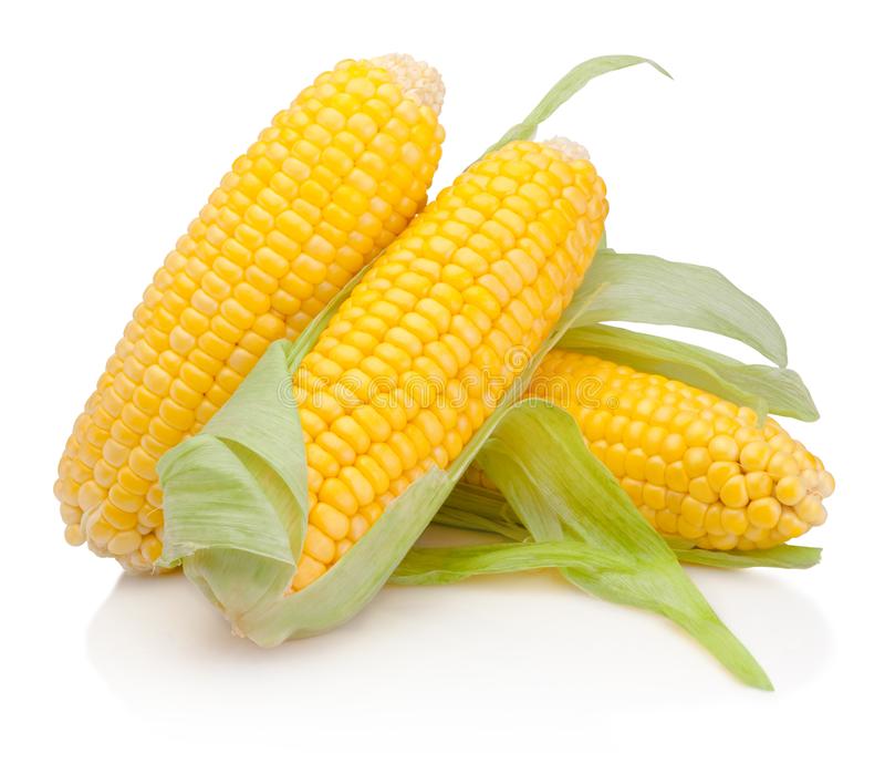 Picture of Hybrid Buttergold All Season Sweet Corn Seeds  -30 Pcs Seeds