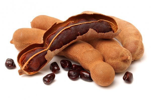 Picture of All Season Bonsai Sweet Tamarind Tree Seeds -10 Pcs Global Seeds