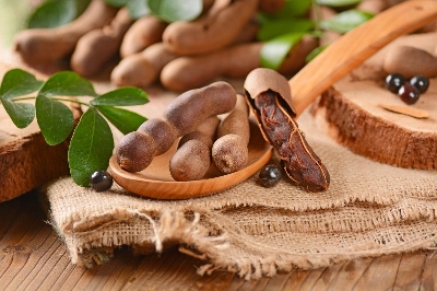 Picture of All Season Bonsai Sweet Tamarind Tree Seeds -10 Pcs Global Seeds