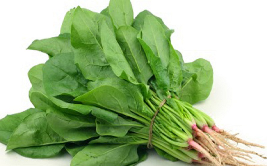 Picture of Palong Spinach Seeds - 100+ Pieces