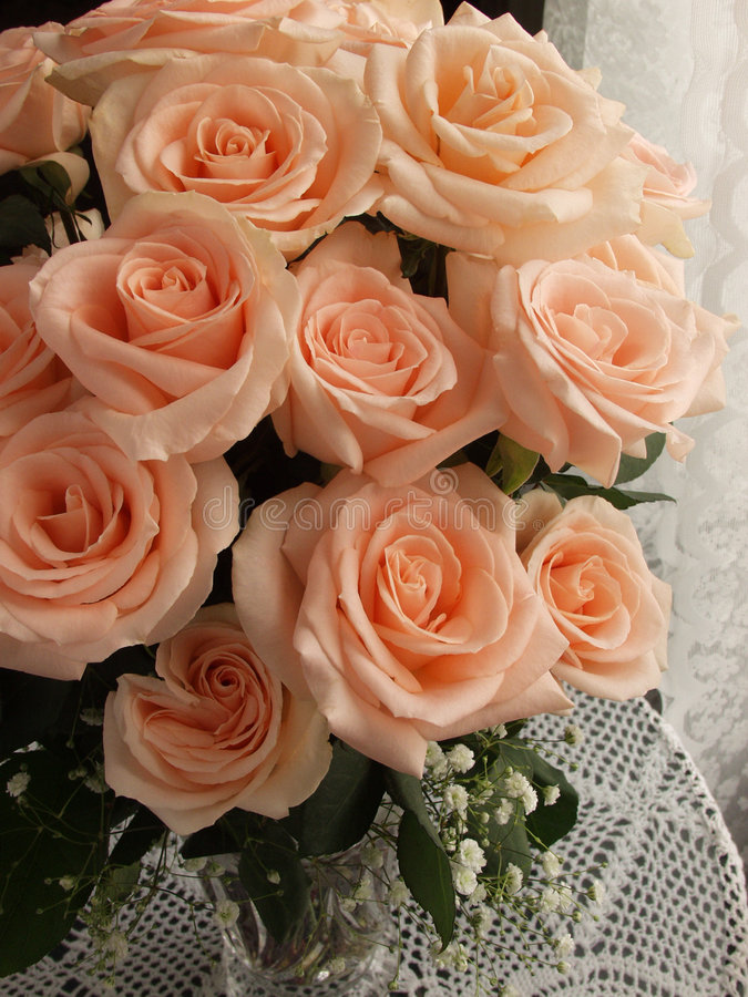 Picture of Rare Peach Colour Giant Roses Flower 20 Pcs Seeds