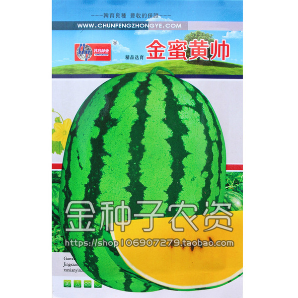 Picture of All Season Yellow Heart Green Body Watermelon Seeds- 40 pcs Intec Packet