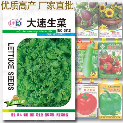 Picture of Global Lettuce Seeds Salad Vegetables Four Seasons Fast-Growing Vegetable Seeds 2000 grain Seeds Intec Packet