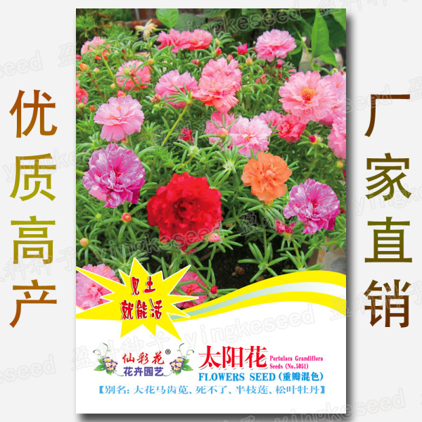 Picture of Global 500 pcs Seeds Mixed Portulaca Flower Seeds Imported 