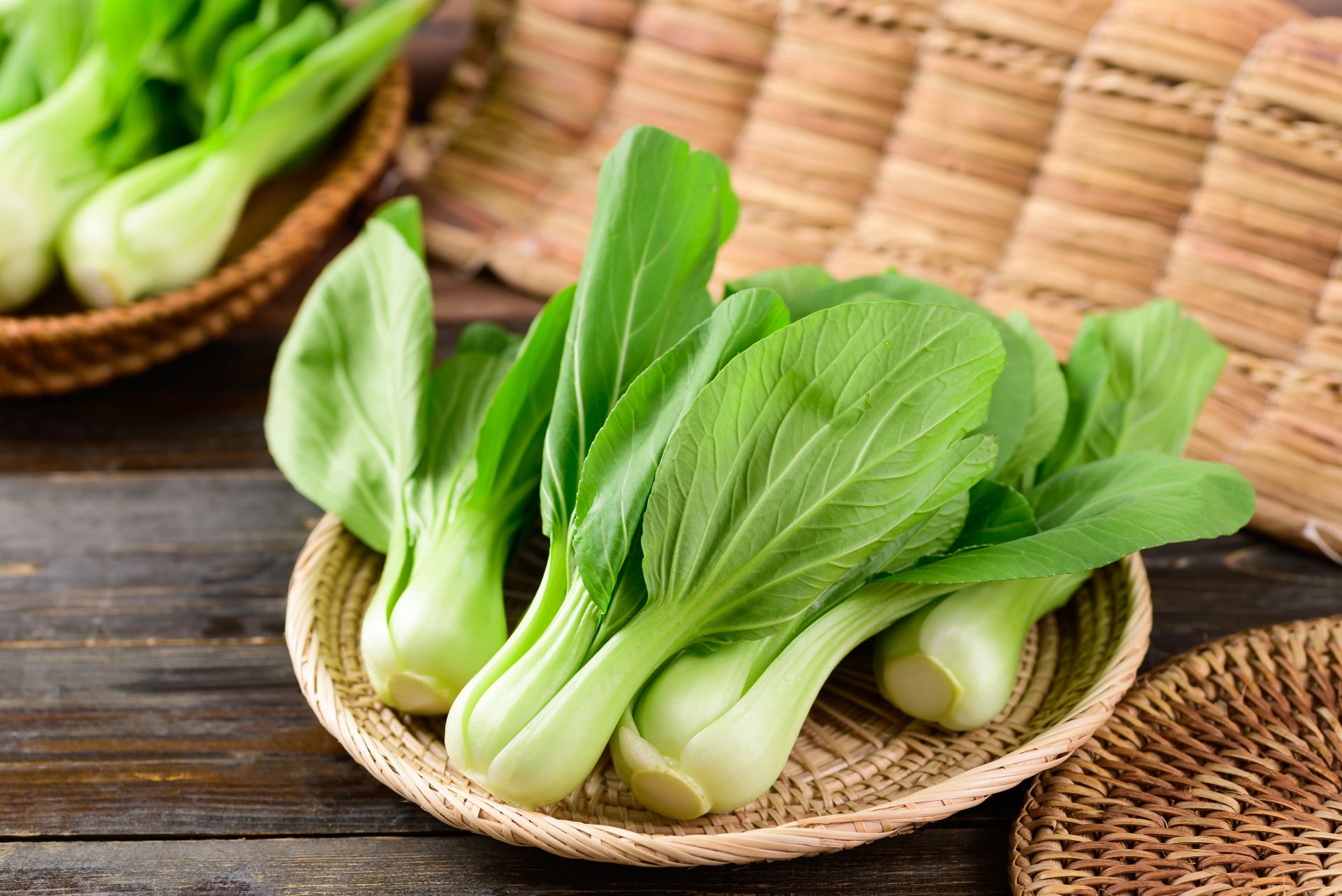 Picture of All Season Global Chinese Pak Choi 20 Seeds