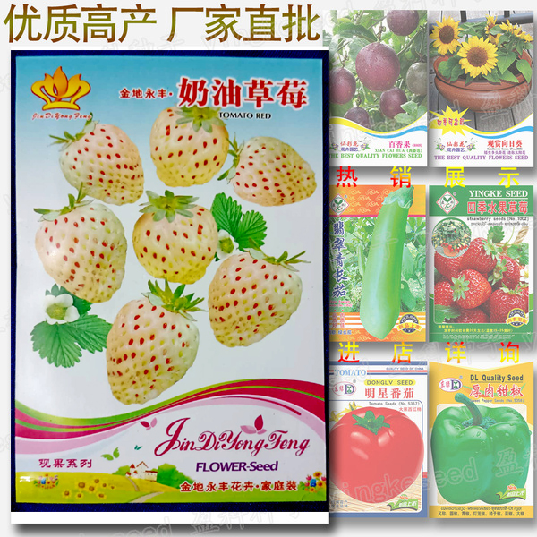 Picture of Global Sweet White Strawberry Seeds - 100+pcs 