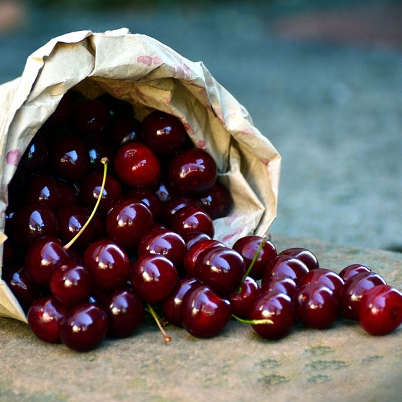 Picture of 5 Pcs Giant Japanese Sweet Cherry Fruit Seeds