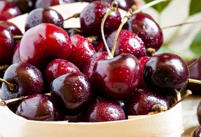 Picture of 5 Pcs Giant Japanese Sweet Cherry Fruit Seeds