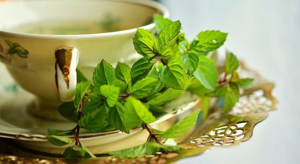 Picture of Global Pudina/ Mint Seeds 30 Pcs Seeds