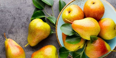 Picture of Global Bonsai Pear Tree Seeds - 15 pcs  Seeds