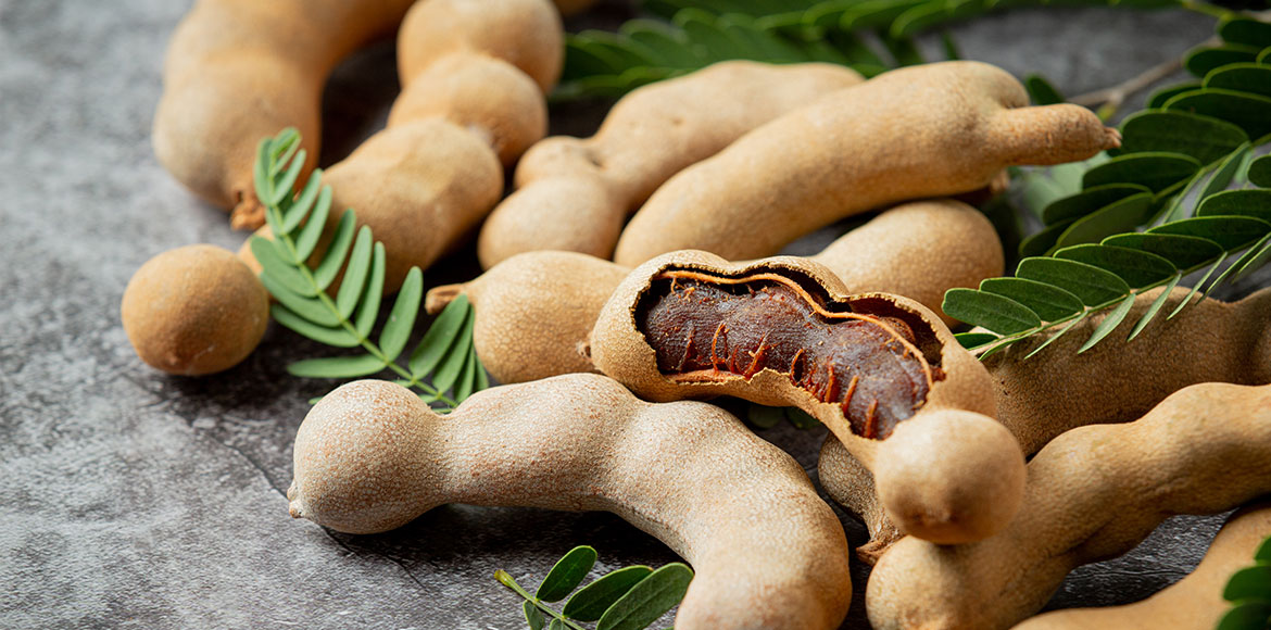 Picture of Bonsai Sweet Tamarind Tree Seeds -10 Pcs Global Seeds