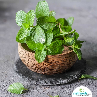 Picture of Global All Season Pudina/Mint Seeds - 30+ Pcs Seeds