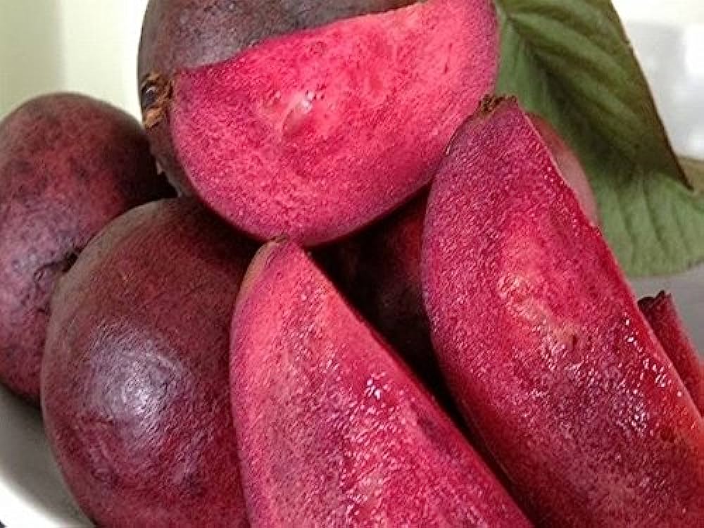 Picture of Thai Red Guava 25pcs seeds