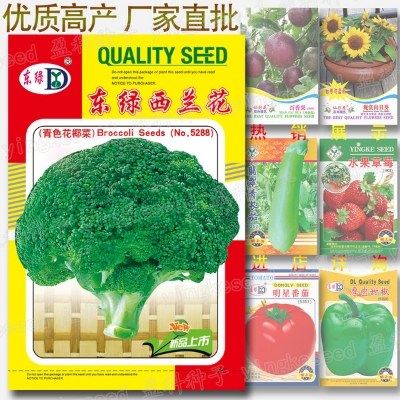 Picture of Imported Global Green Broccoli Vegetable Seeds (Intake Packet )- 100+pcs Seeds