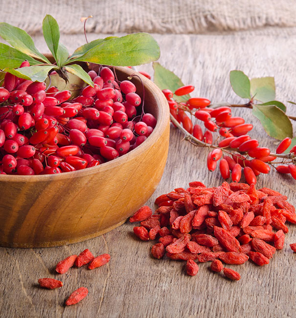 Picture of Sweet Goji berry plants(Wolfberry) Seeds - 20 Pcs Seeds