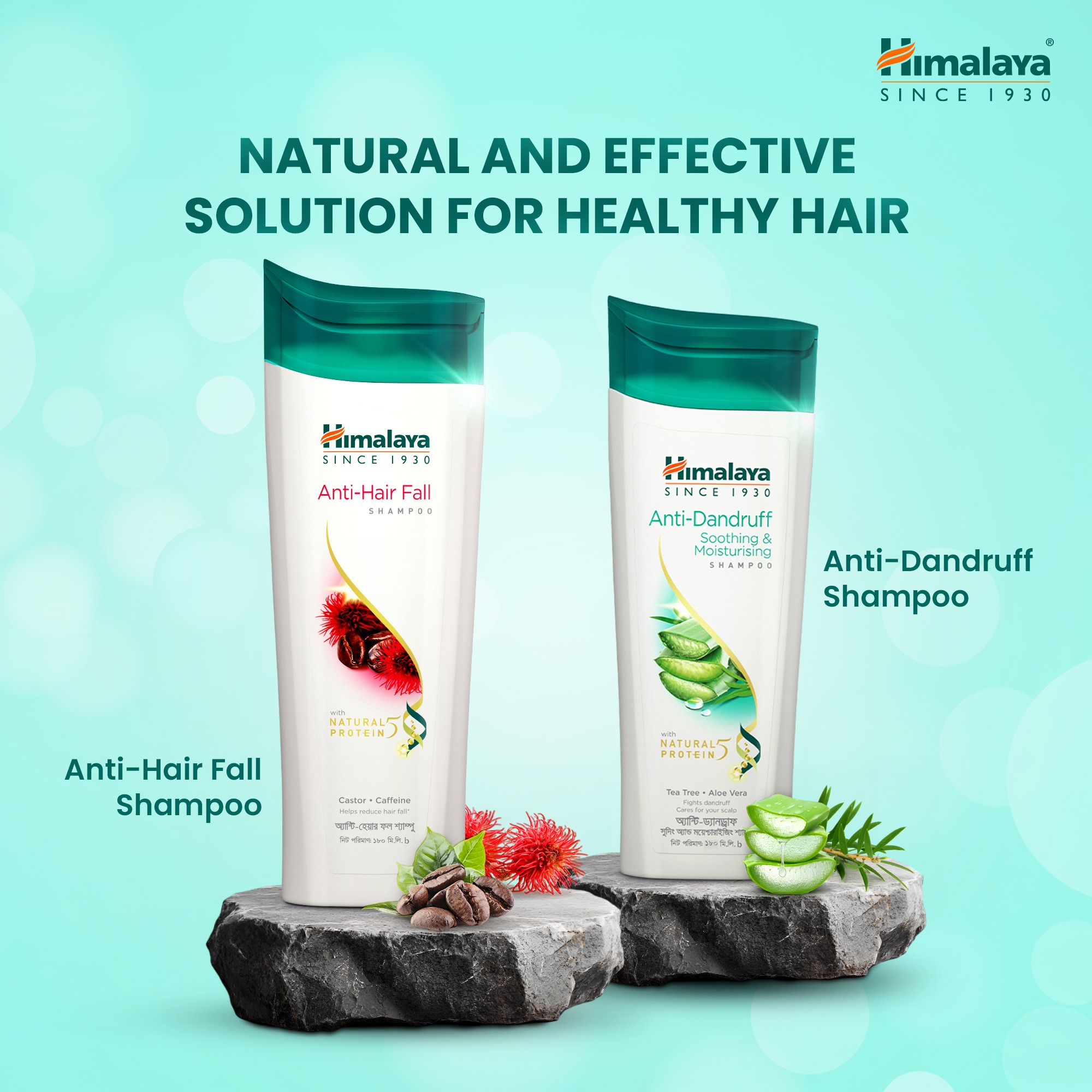 Picture of Himalaya Anti Dandruff Shampoo Soothing & Moisturizing- 180 ml (Buy 1 Get 1 Free)