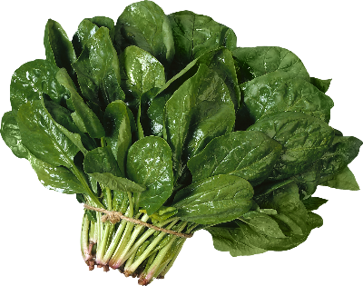 Picture of Hybrid Palong Shak Seeds 2gm Re-Pack