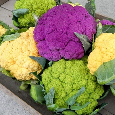 Picture of Hybrid Cauliflower Seed 4 color mix 20pcs Zipper