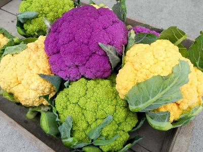 Picture of Hybrid Cauliflower Seed 4 color mix 20pcs Zipper