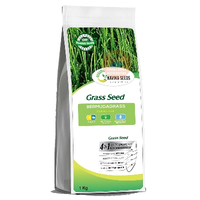 Picture of Original and Pure Bermuda Carpet Grass Seeds 1gm Re-Pack