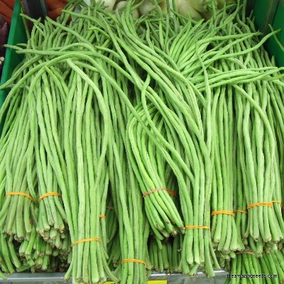 Picture of Long Bean Borboti Hybrid Seeds All Season